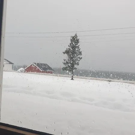 Near The Sea Apartamento